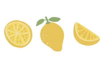 Lemon and lemon slice clipart. Summer juice isolated citrus yellow hand drawn illustration for menu, card, tshirt design