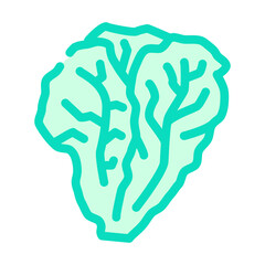 lettuce green color icon vector. lettuce green sign. isolated symbol illustration