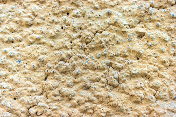 Background of old plastered yellow painted wall