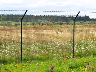 The territory is fenced with a mesh fence with barbed wire. Private area fencing.