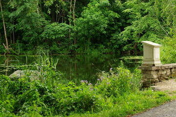 Fototapeta na wymiar pond in the park