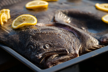 A turbot fish prepared with lemons on it to be cooked on barbecue. Fish grill cooking.
