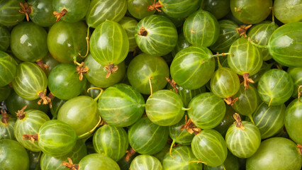 A group of gooseberries isolated on a white background.