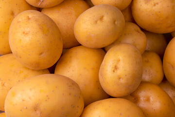 A group of fresh tasty potato as  background.