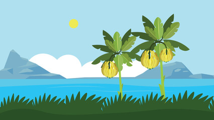 Fototapeta na wymiar Two banana palms by the sea
