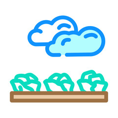 field salad food color icon vector. field salad food sign. isolated symbol illustration