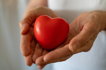 Hands holding red heart, healthcare, love, organ donation, mindfulness, wellbeing, family insurance and CSR concept, world heart day, world health day, national organ donor day
