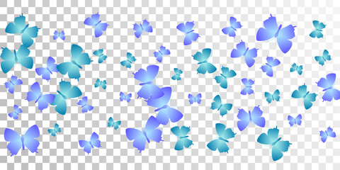 Exotic blue butterflies flying vector wallpaper. Spring beautiful moths. Fancy butterflies flying fantasy illustration. Tender wings insects patten. Garden beings.
