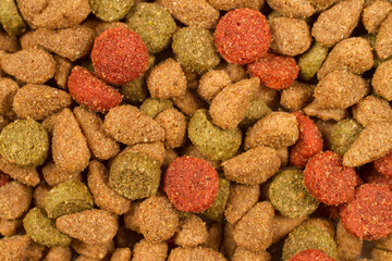 Close-up dry pet food.