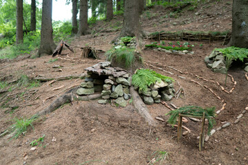 house in the forest for animals and birds in the forest.