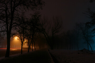 Trees and street lights on a quiet dark night. soft focus, high iso. Night autumn city in Ukraine
