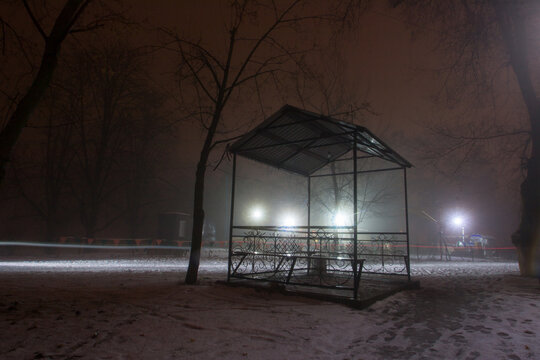 Trees And Street Lights On A Quiet Dark Night. Soft Focus, High Iso. Night Autumn City In Ukraine