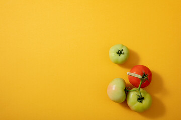 Yellow and green tomatoes on a yellow background. blank background for design
