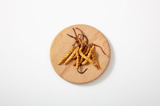 Ophiocordyceps sinensis or cordyceps mushroom is an herb on white background