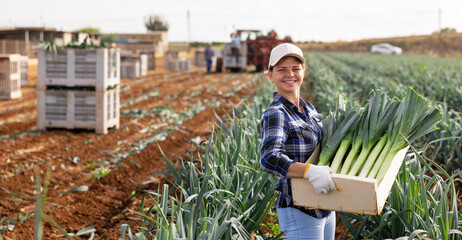 Positive female farmer with a box of leeks in the field