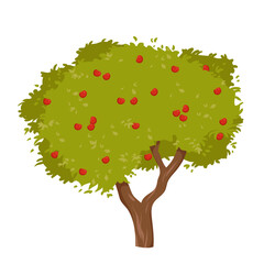Apple tree with red fruit and green foliage in summer garden vector illustration. Cartoon isolated tree with trunk and apples hanging on branches growing in farm orchard, agriculture and nature
