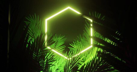 Image of leaves over yellow neon hexagon on black background