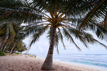 Beautiful landscape with sand tropical beach, cloudy sky and green palm trees.