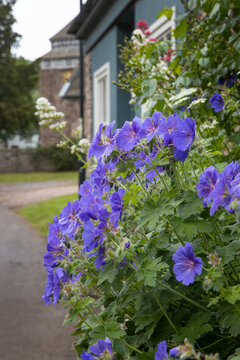 Monmouthshire, skenfrith, uk, verenigd koninkrijk, wales, great brittain,