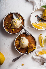 dessert cake still life with ice cream and lemon