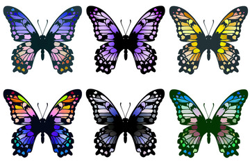Fototapeta na wymiar 紫や黄色ベースの6羽のカラフルな蝶