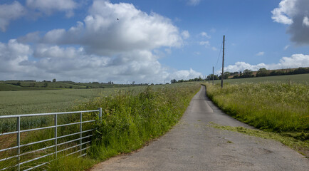 Fototapeta na wymiar Wiltshire, meadows, england, UK, great brittain, hills, road, 