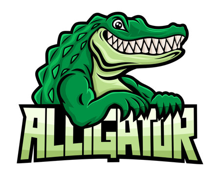 Green crocodile alligator icon on white background.	