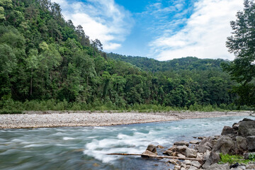 Beautiful river and pristine forest in Bhutan