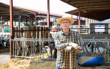 Successful young man owner of dairy farm standing in stall on background with herd of cows