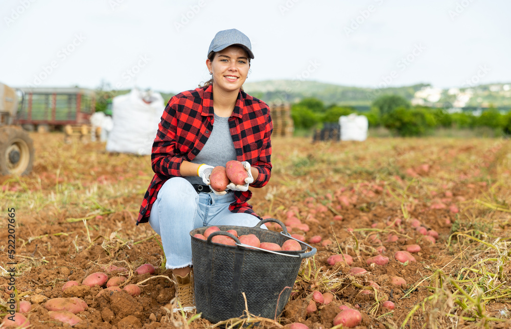 Wall mural portrait of cheerful woman farm worker posing at agricultural field with new crop of organic potatoe