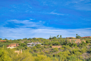 Fototapeta na wymiar Residences on a slope with wild plants and cactuses at Tucson, Arizona