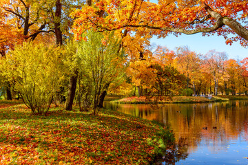 Golden autumn (fall) in Alexander park, Tsarskoe Selo (Pushkin) Saint Petersburg, Russia
