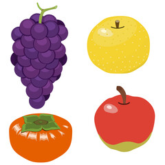 秋の果物のイラスト
