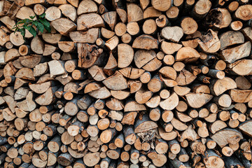 View of a Stack of Firewood. Background of Dry Chopped Logs in a Woodpile. Natural Texture. Preparation of Firewood for the Cold Winter