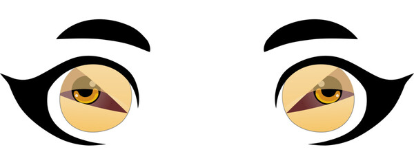 Colorful eyes collection isolated on white, modern design, Cartoon woman eyes and eyebrows with lashes. Isolated vector illustration. Can used for T-shirt print, poster and cards. cartoon anime eyes