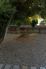 山盛りに集められた落ち葉