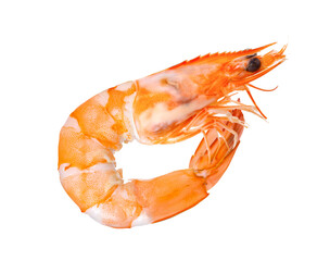 Cooked shrimps isolated on white