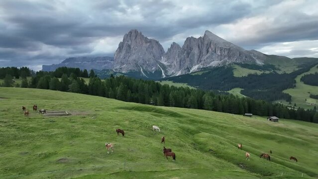 Amazing view on Dolomites peak with a hiking path leading to the mountains. Sunrise drone shot of idyllic Alpe di Suisi mountains in South Tyrol. Wooden cottages at sunrise.