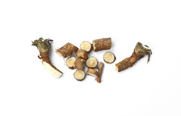 Common chicory root (Cichorium intybus). Chicory root (Cichorium intybus radix) helps to cleanse...