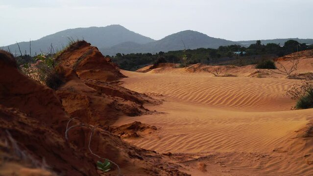Shot of red desert sand dunes surrounded by sparce vegetation in Mui Ne, Vietnam with the view of hills in the background during evening time.