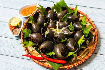 Boiled snails dipped in fish sauce close to chili.  Ingredients include snails, fish sauce, lemongrass and laksa leaves