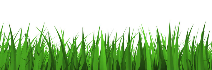 Fototapeta na wymiar Grass profile view isolated - 3d rendering