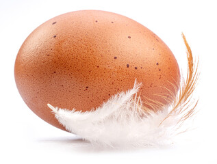 Brown chicken egg and chicken feather isolated on white background.