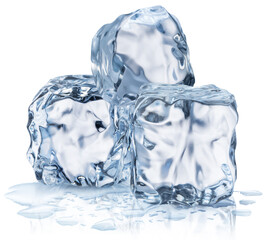 Three melting ice cubes in water puddle. File contains clipping paths.