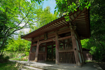 京都　勝持寺の仁王門と新緑