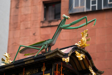 京都　祇園祭　蟷螂山（とうろうやま）