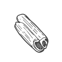 doodle cinnamon icon, kids hand drawing line art, food vector illustration