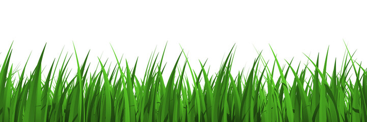Obraz na płótnie Canvas Grass profile view isolated - 3d rendering