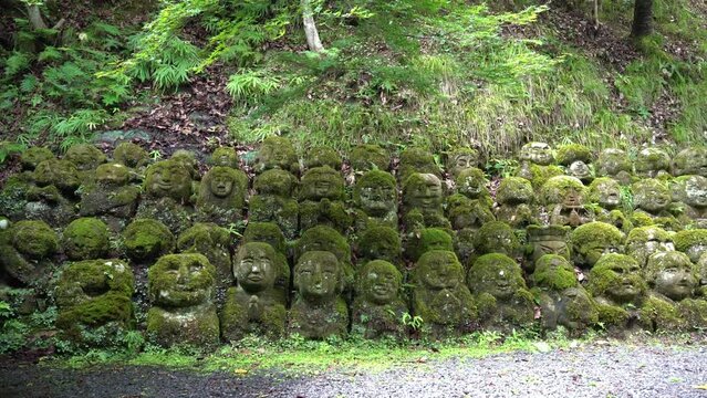 京都　愛宕念仏寺（おたぎねんぶつじ）の本堂と千二百羅漢　新緑
