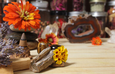 Agatized Coral With Quartz Crystals and Flowers on Meditation Table